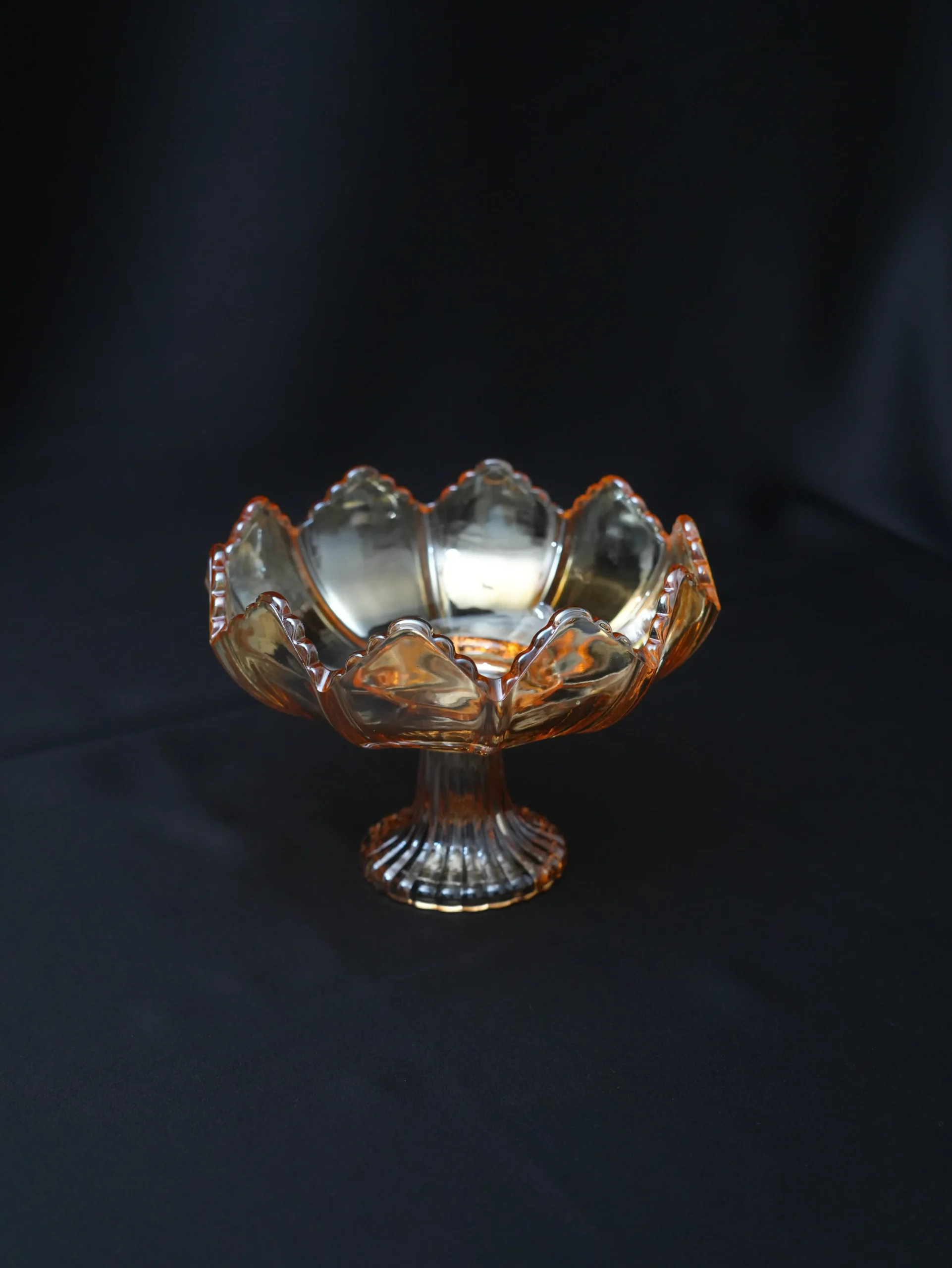 Amber Cam Lotus Meyvelik